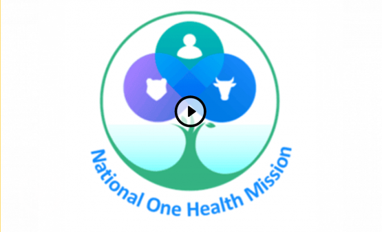 one health logo